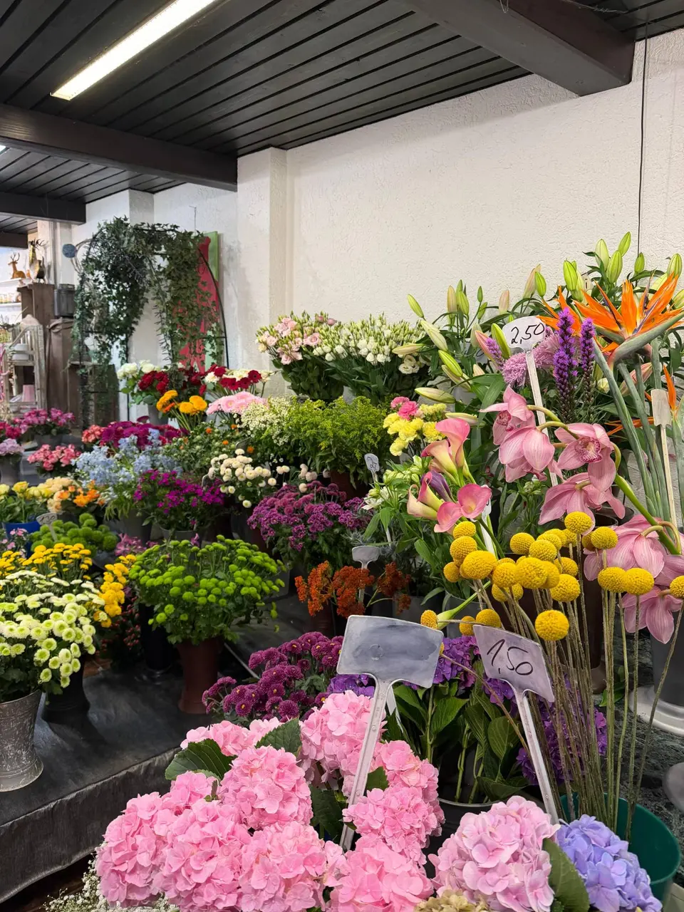 Blumentheke mit rosa Hortensien, gelben Craspedia und Cymbidium-Orchideen